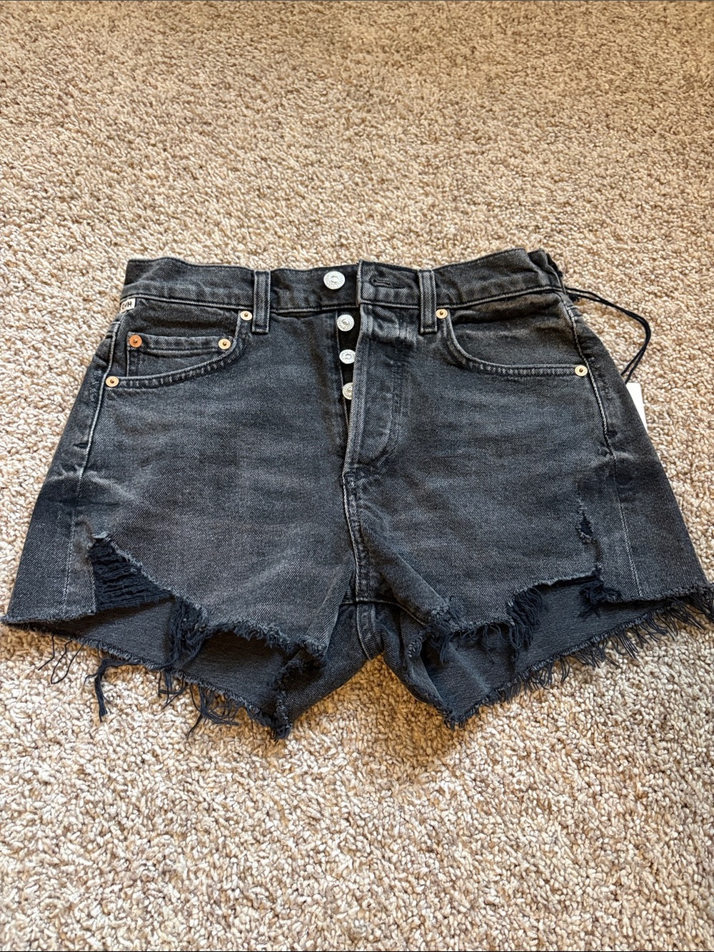 Citizens Of Humanity Annabelle Shorts